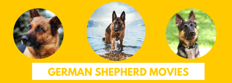 13 Best German Shepherd Movies 2023 | Watch Starring Dog