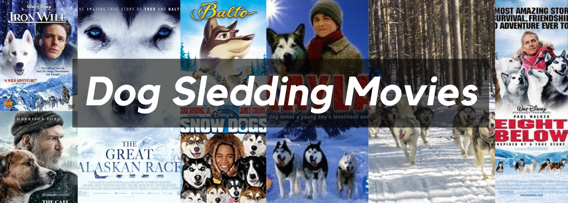 Dog Sledding Movies