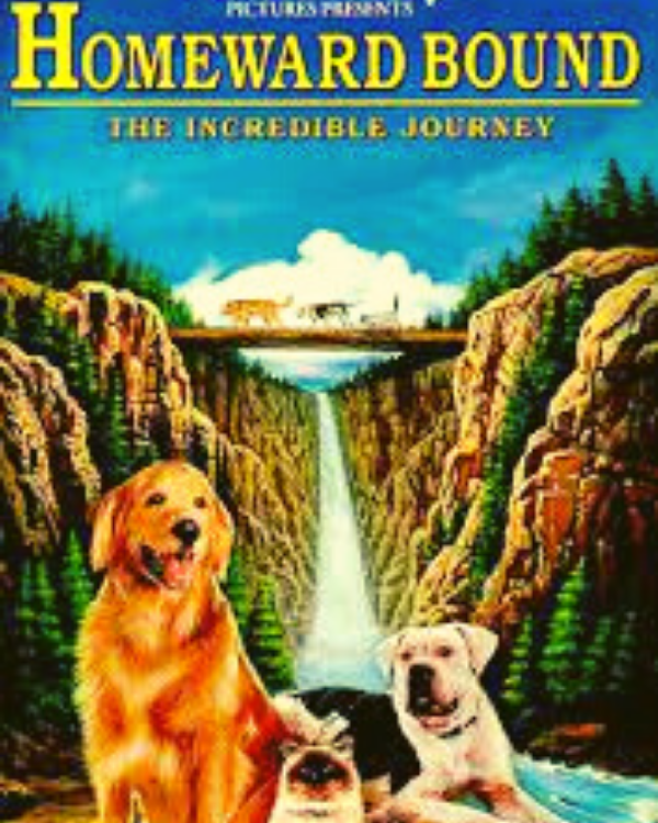 Homeward Bound (The Incredible Journey)