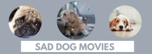 Sad Dog Movies