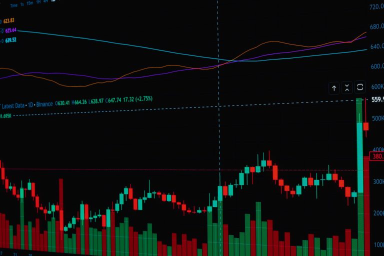 Building a Resilient Portfolio Amid Daily Market Swings